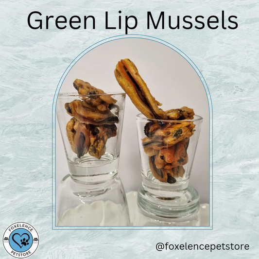 Green Lip Mussels - Whole