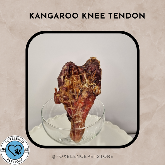 Kangaroo Knee Tendons